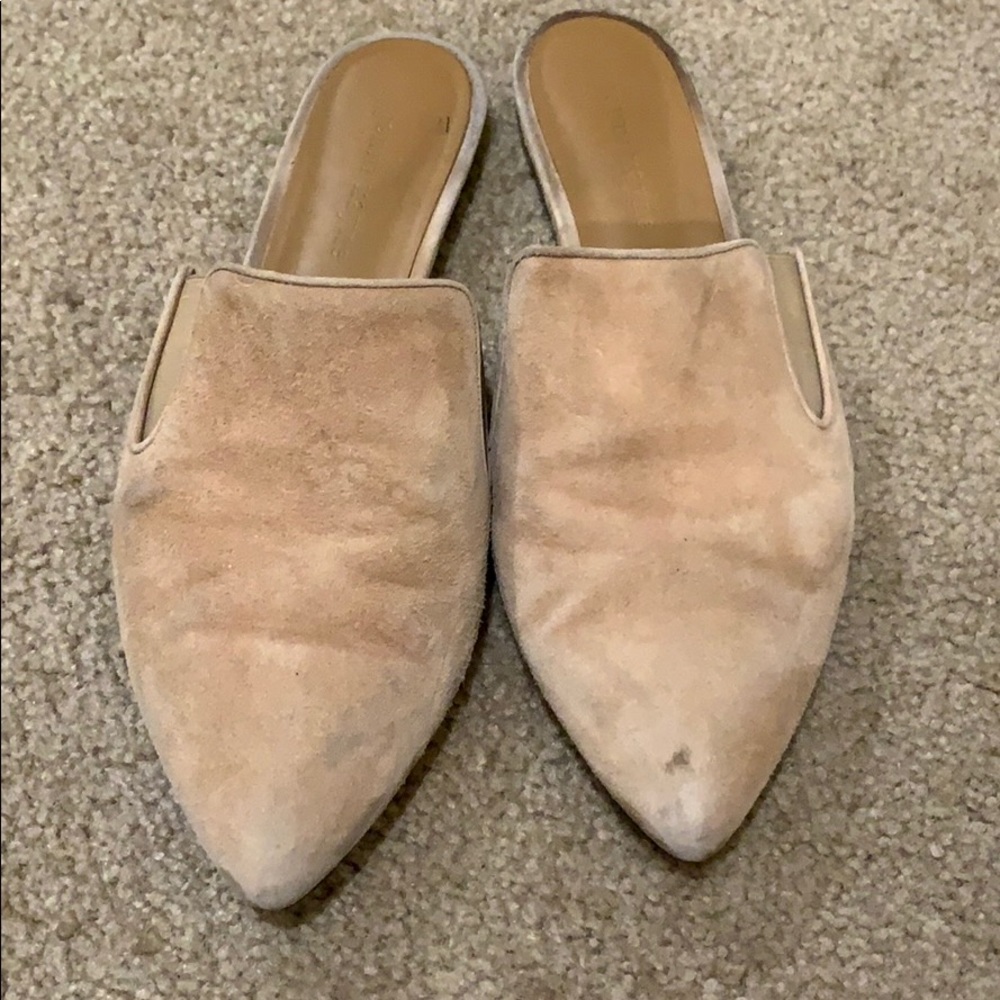 Jenni Kanye mule